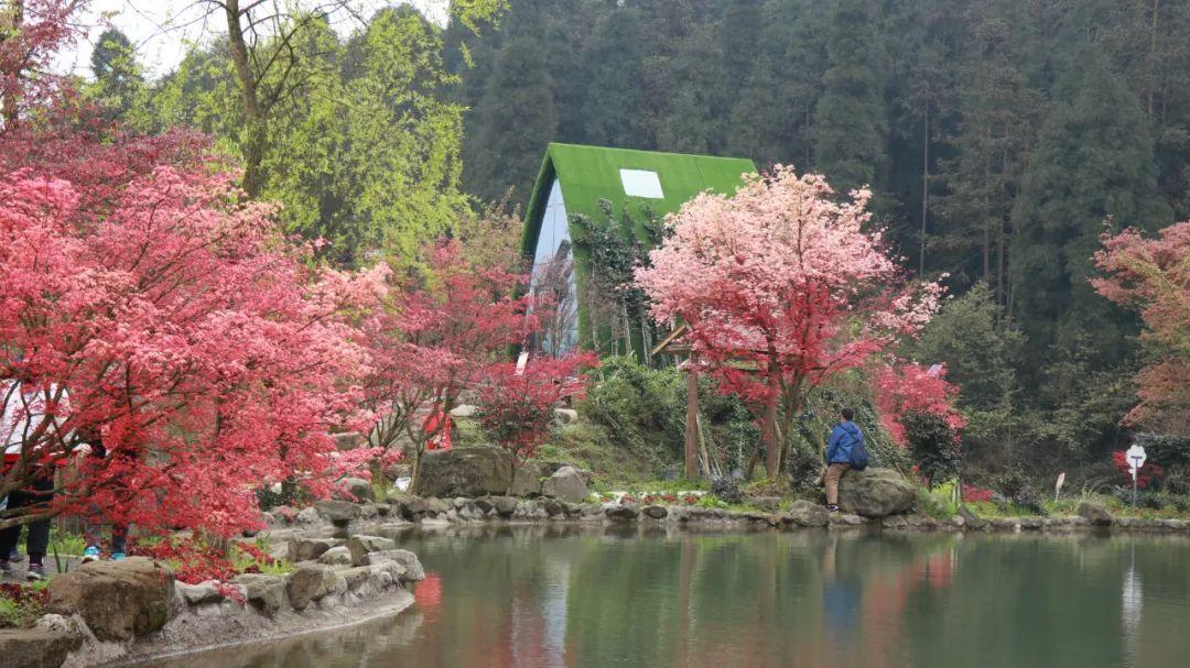 甜蜜糖果岛