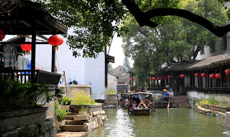 逃离大犀牛出没地